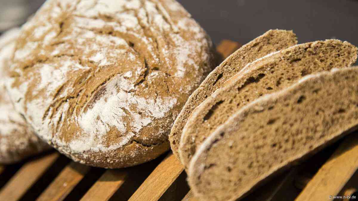 Hitze-Effekt: Brot schon wieder schimmelig? Sechs Tipps für längere Frische
