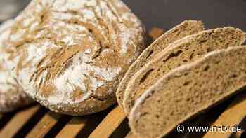 Hitze-Effekt: Brot schon wieder schimmelig? Sechs Tipps für längere Frische