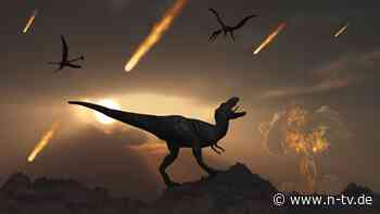 Mögliche Folge des Einschlags: Brachte globale Staubschicht den Dinosauriern den Hitzetod?
