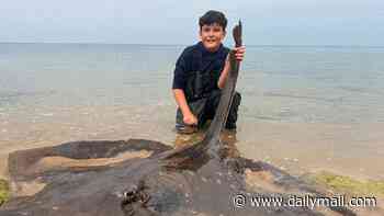 Schoolboy angler, 14, catches mega 195lb skate fish - 'breaking nationwide record' for biggest caught by a child