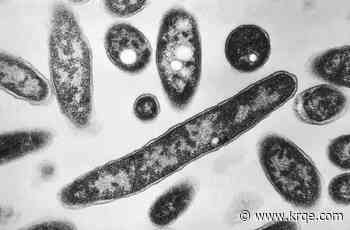 Legionnaires' death toll rises to 6 in New York City outbreak