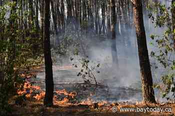 2 firefighters die in a wildfire on the southern Greek island of Crete