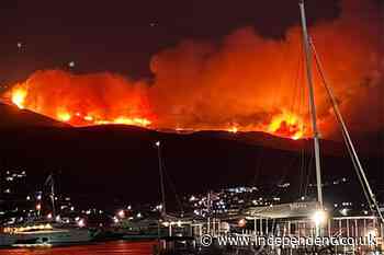 Villages evacuated on Greek tourist island after major wildfire breaks out