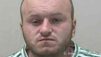 Dad 'with temper' downed 11 cans before leaving baby son blind and brain damaged