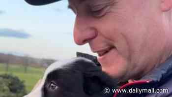 Countryfile's Matt Baker welcomes new sheepdog Ted to the family as he pays tribute to beloved Border Collie Bob a year after he died saying: 'It took a lot to get over him'
