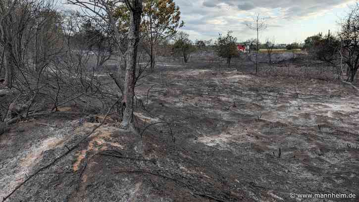 Abschlussmeldung: Brand auf Friesenheimer Insel