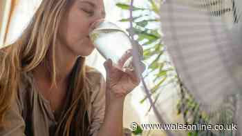 Dehydration signs and symptoms to watch out for as temperatures soar