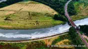 Huge snaking mass of scum travelling down Welsh river and the smell is making people's eyes burn