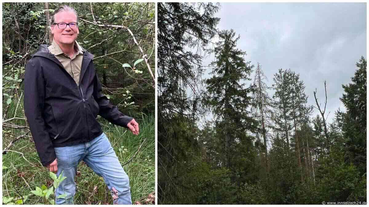 Filze bei Übersee in Flammen: WWF-Waldbrandexperte fordert besseren Moorschutz