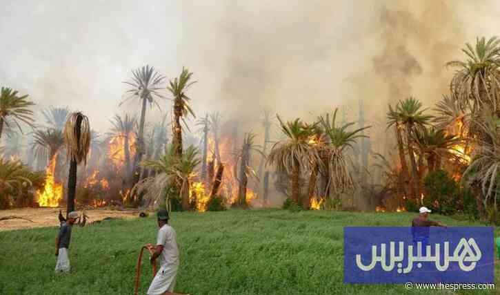 النار تهدد الواحات والمنازل في أكدز