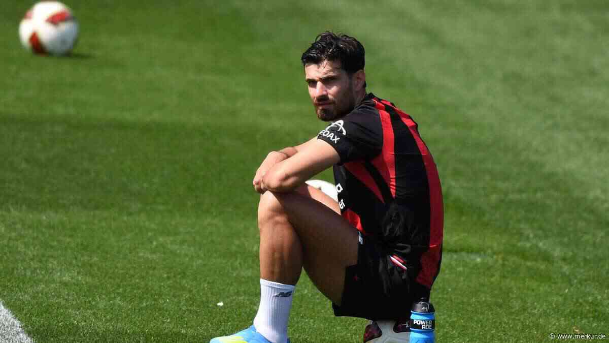Zurück nach Frankreich: Terrier vor Abgang von Bayer Leverkusen