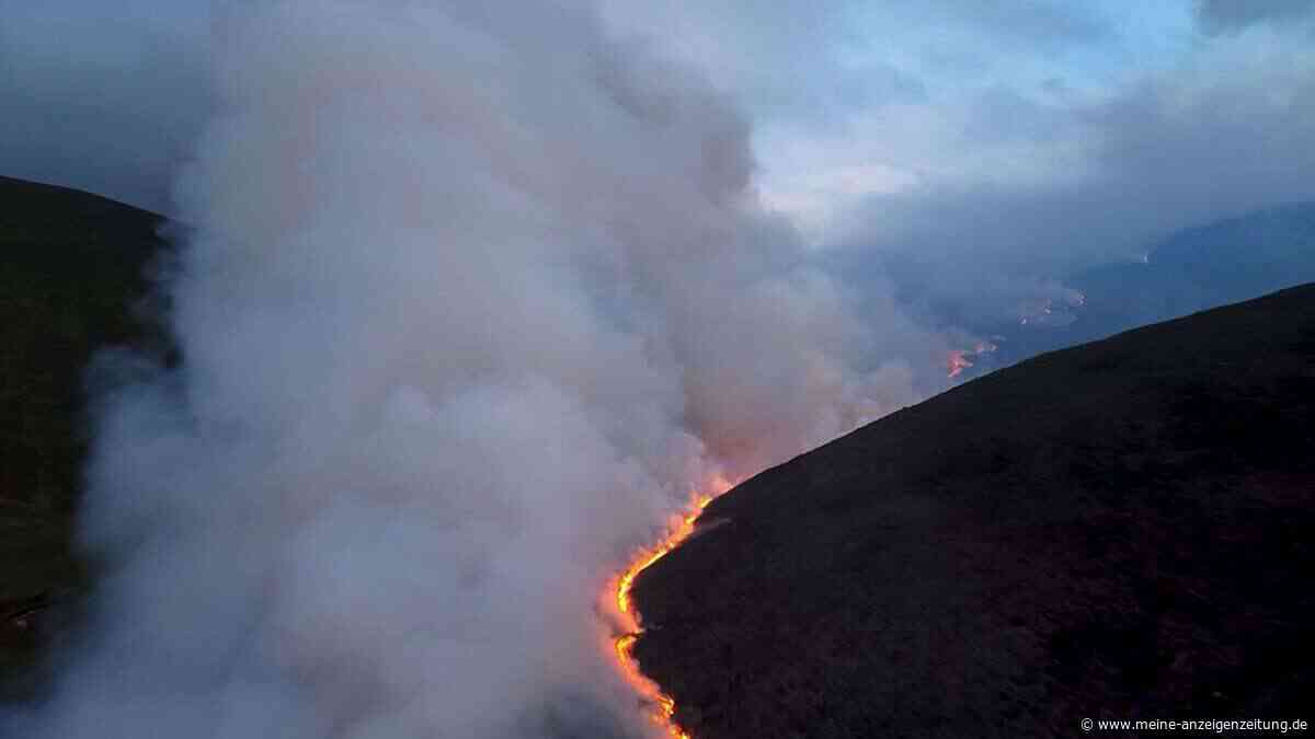 Katastrophale Waldbrände in Schottland: Naturjuwel großflächig zerstört