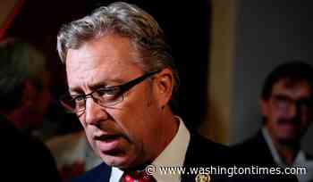 Trump tries to shield Tennessee conservative firebrand from primary challenge