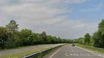 Pedestrian dies after being struck by six vehicles including police car in South Wales