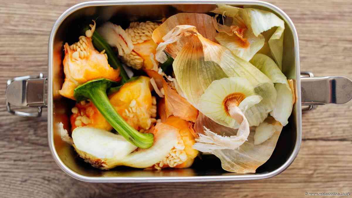 Stop maggots taking over food waste bin by following binman's four steps