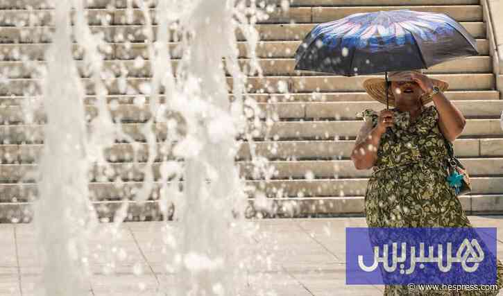 ظلال وارفة تحمي سكان بروكسل من موجة الحر