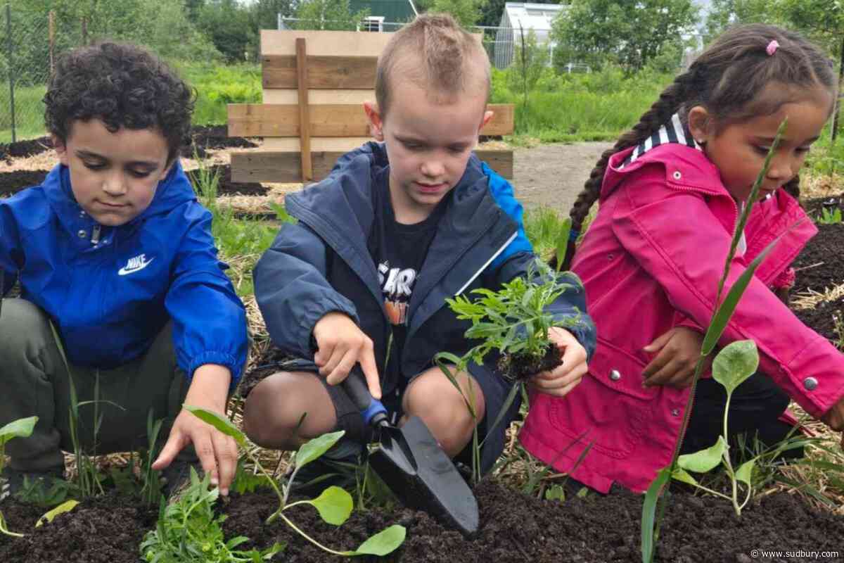Lasalle Elementary students’ seedlings growing in Twin Forks Park community garden