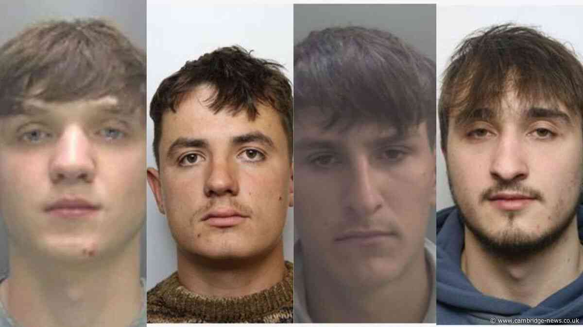Burglars caused £1 million of damage to hundreds of new homes