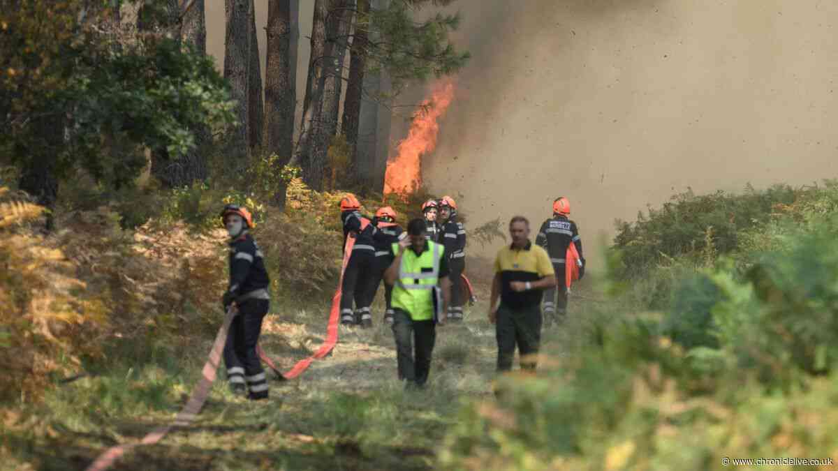 Travel experts pick top summer destination as wildfires ravage Spain, Italy and France