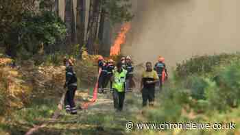 Travel experts pick top summer destination as wildfires ravage Spain, Italy and France