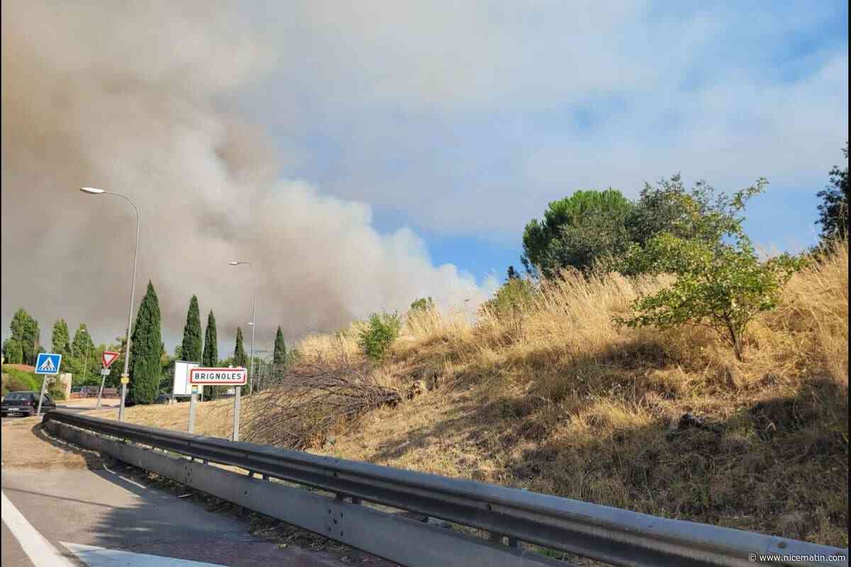 Un violent feu d’espace naturel se déclare à Brignoles : d’importants moyens terrestres et aériens mobilisés