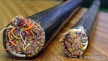 Copper wire theft up by 78% over last year, Bell says