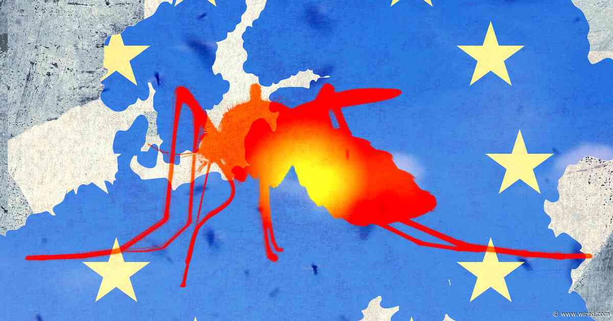 Tropical Diseases Like Dengue Fever and Chikungunya Are on the Rise in Europe