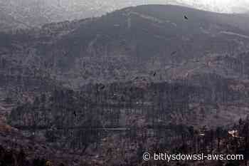 Los tres mayores incendios forestales en España desde 1961 se produjeron en los últimos dos años