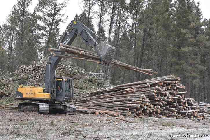 $75K fine upheld against Tolko almost a decade after landslide into Shuswap lake