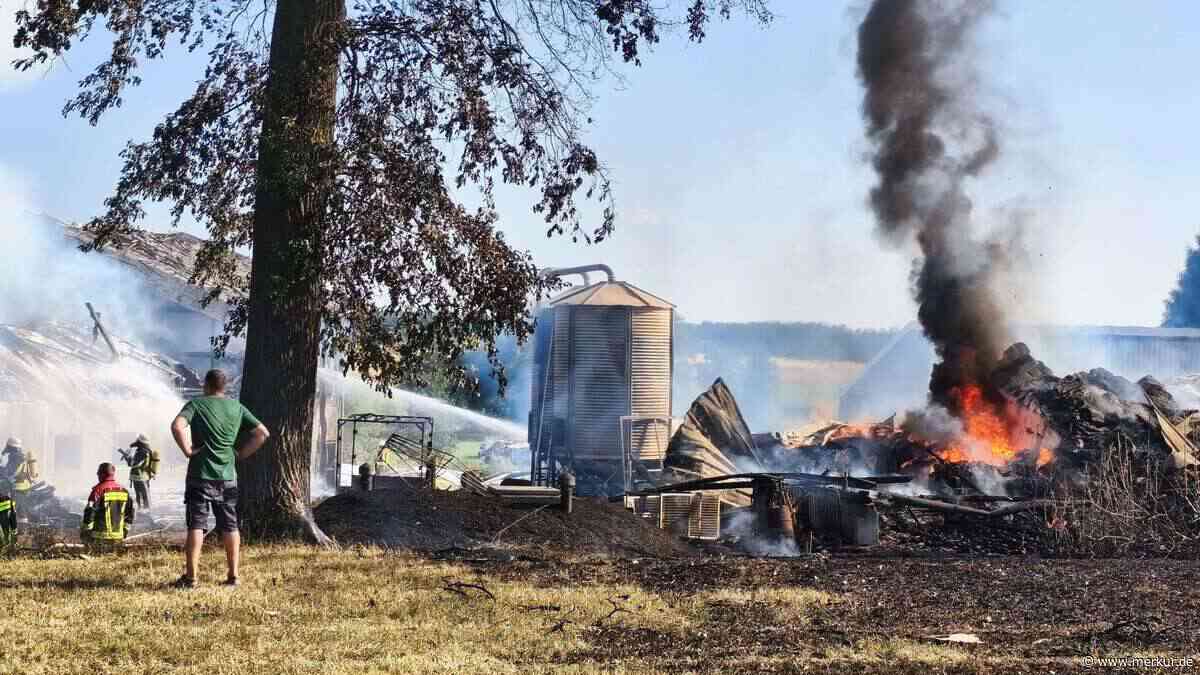 Inferno auf Bauernhof in Bayern: Zwei Hallen zerstört – Dutzende Kälber sterben in den Flammen