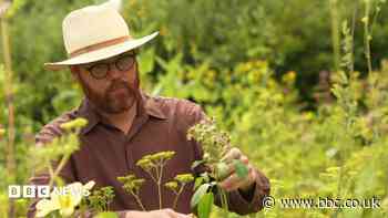 Dry weather spell 'brutal' for garden nursery