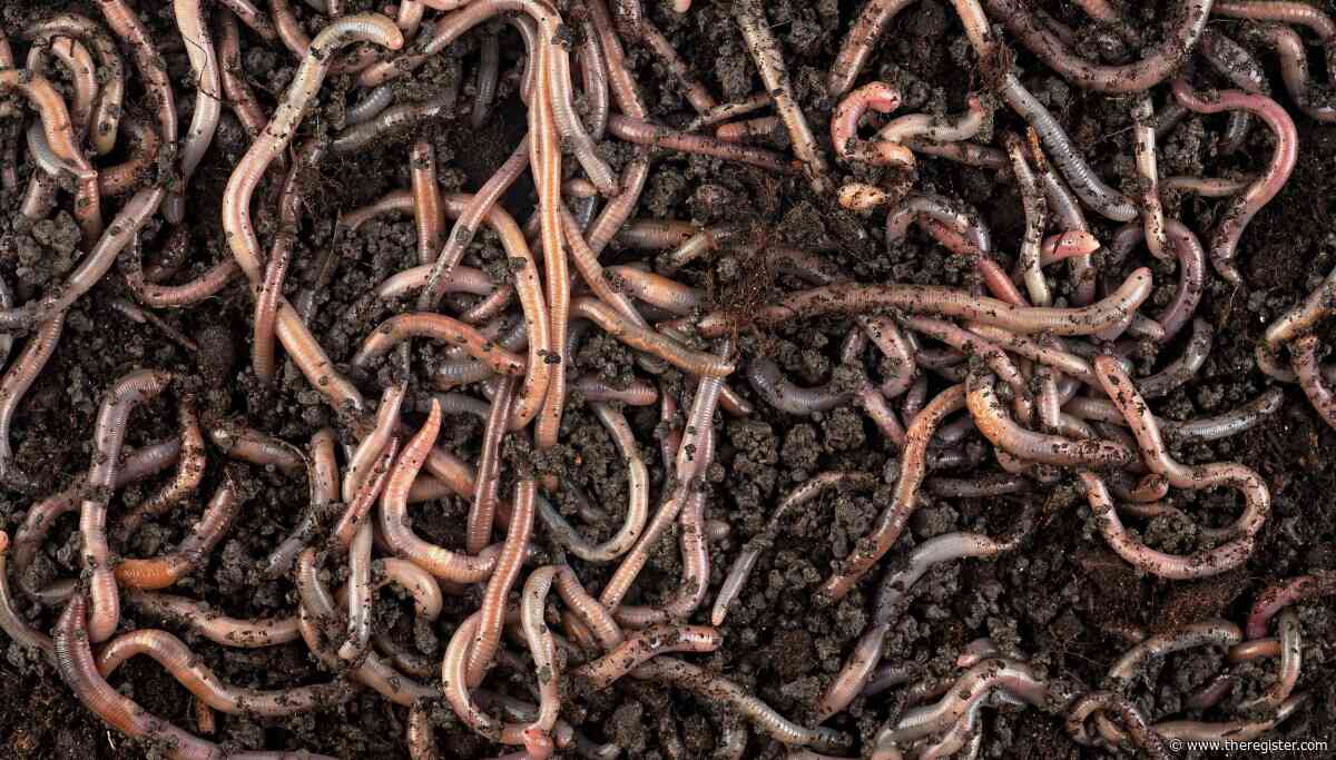 Word worm crawls into Copilot, spreads chaos