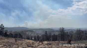Lincoln National Forest to begin 5-year reforestation plan on burn scars