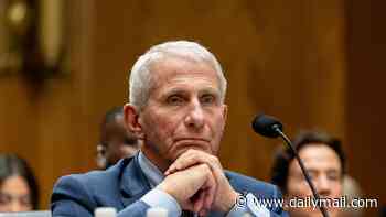 Fuming senator hurls f-bomb at silent Fauci: 'Total disgrace'