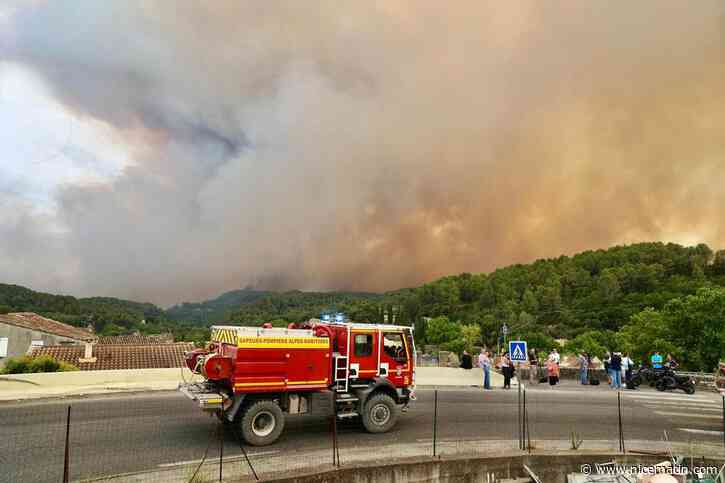 Menacés par les flammes dans le Var, des chiens secourus grâce à la solidarité de deux cabinets vétérinaires de Menton et Roquebrune-Cap-Martin