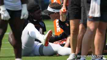 Bengals' Stewart carted off with left leg injury