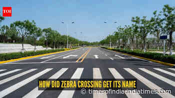 You've crossed it countless times, but do you know why it's called a zebra crossing?