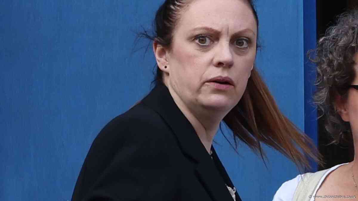 Northumbria Police detective said 'all men' should be given curfews to stop night time rapes, hearing told