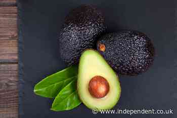 Why the 2016 US-Mexico avocado deal matters for future trade negotiations