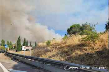 Violent incendie à Brignoles : 60 hectares déjà partis en fumée, des quartiers évacués, 250 pompiers sur place