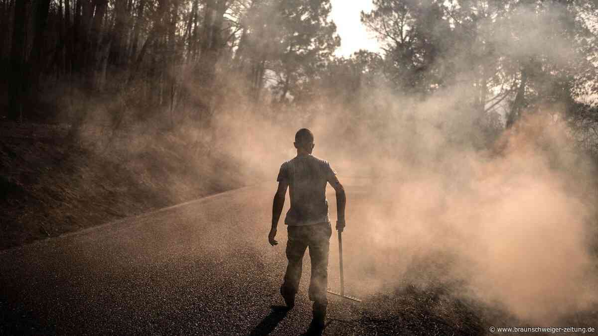 Waldbrände in Griechenland: Drei Feuerwehrleute sterben im Kampf gegen die Flammen