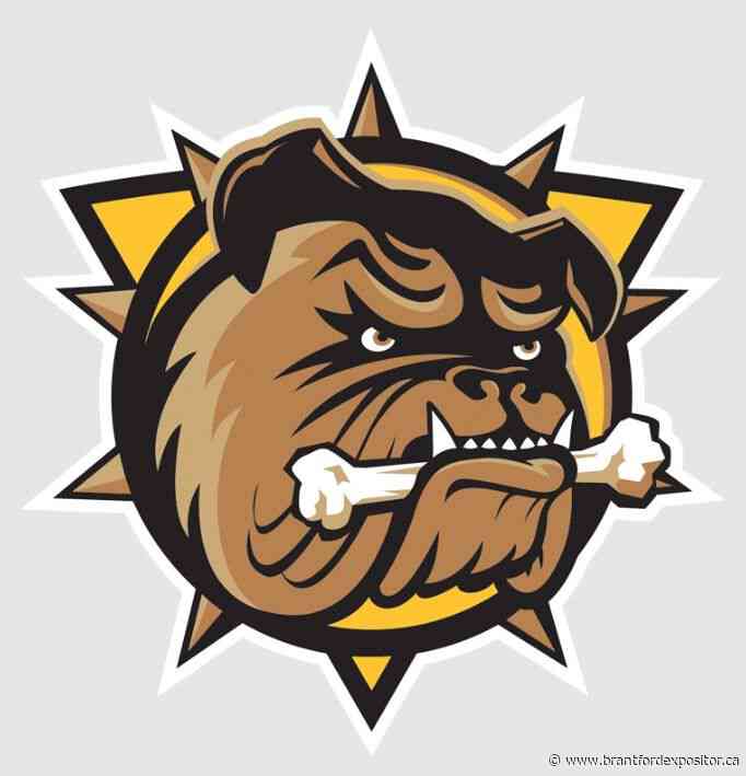 Brantford Bulldogs sign third goaltender