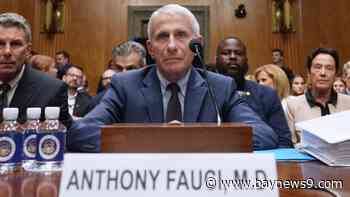 Fauci invokes Fifth Amendment and declines to testify in Republican-led COVID-19 Senate hearing