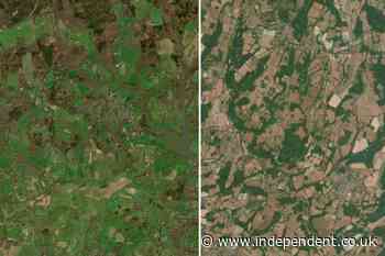 Satellite pictures reveal huge impact of ‘exceptional’ UK drought and heatwaves