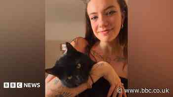 Mystery over cat's 'shameless' food stealing spree