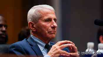 Live updates: Fauci invokes Fifth at Senate COVID hearing; Trump, Duffy reveal major Dulles revamp