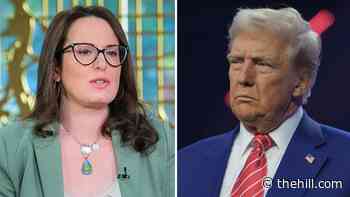Haberman knocks Trump 'bullying campaigns'