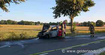 Auto rijdt de berm in, ramt een boom en vliegt in brand