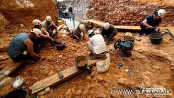 Human ancestors may have been cannibals eating adults and children 850,000 years ago