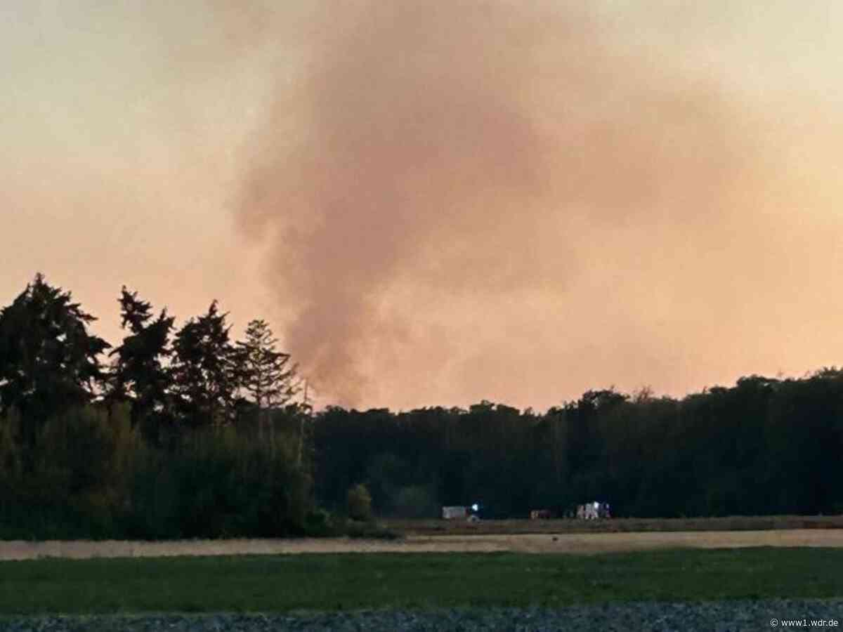 Waldbrand bei Weilerswist und Bornheim